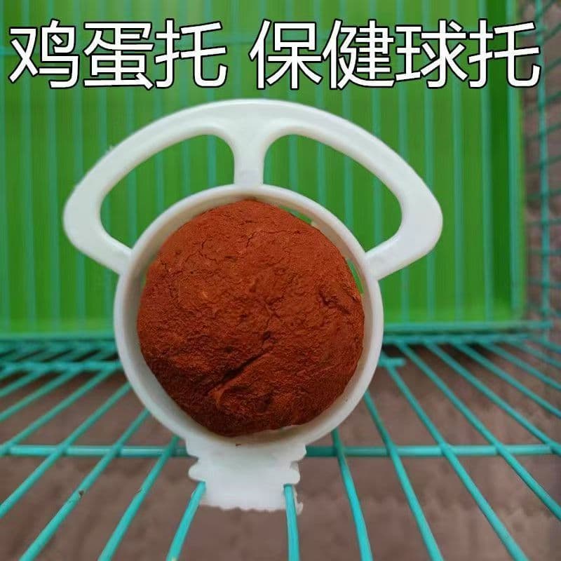 Bird Egg Tray for Canaries, Finches, and Gouldian Finches Egg Holder and Egg Eating Device Plastic Accessories