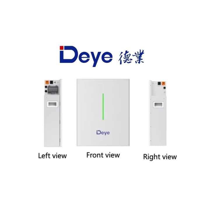 Deye Rw-F10.2 Wall-Mounted Lithium Ion Batteries 51.2V 200Ah