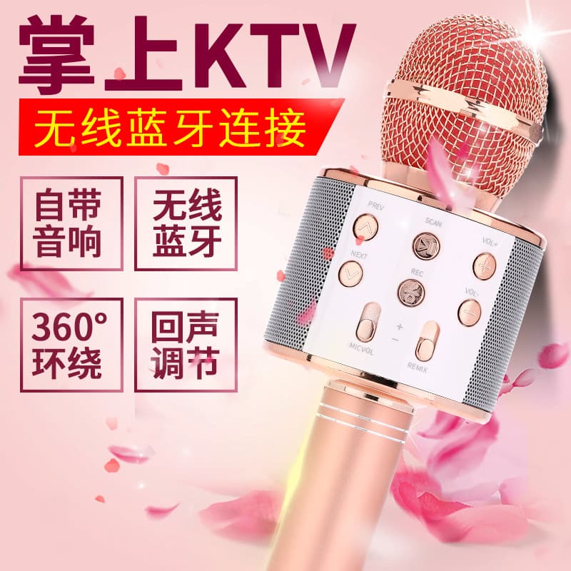 Cross-Border Mobile Phone K Song 858 Microphone Speaker All-in-One K Song Treasure Live Streaming Bluetooth Wireless Microphone