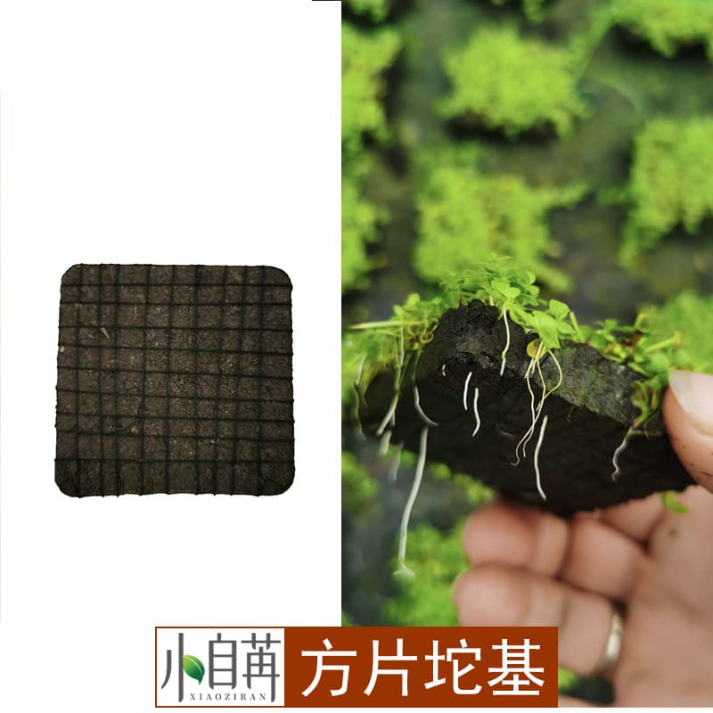 【Cross-border Exclusive】Square Grass Mat Substrate Mat Mud for Aquatic Plant Cultivation, Propagation, Planting, Carbon, Foreground Grass Fixing