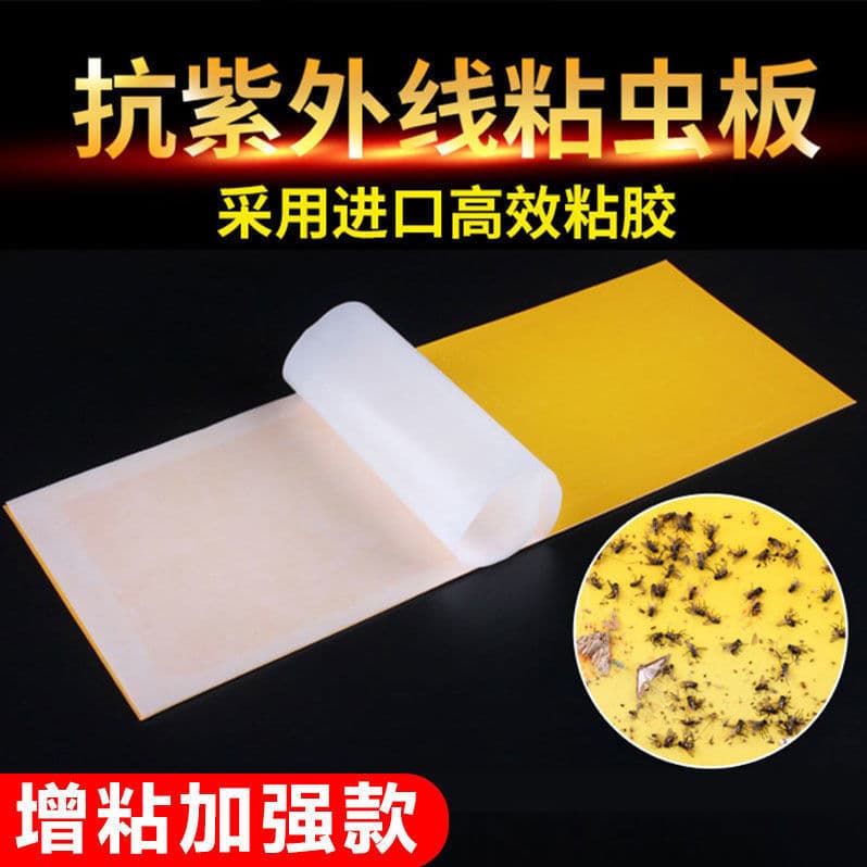 Fly Trap Sticky Board for Bug Zapper Milk Tea Shop Strong Sticky Fly Paper Commercial Mosquito Killer Sticky Board PP Eco-Friendly Material