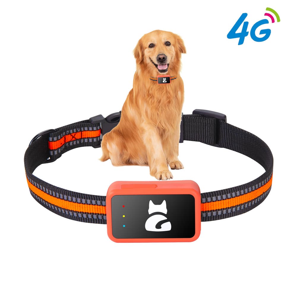 Popular 4G Full Netcom G68P GPS Locator for Pets, Dogs, and Cats - Anti-Loss and Anti-Theft Tracker