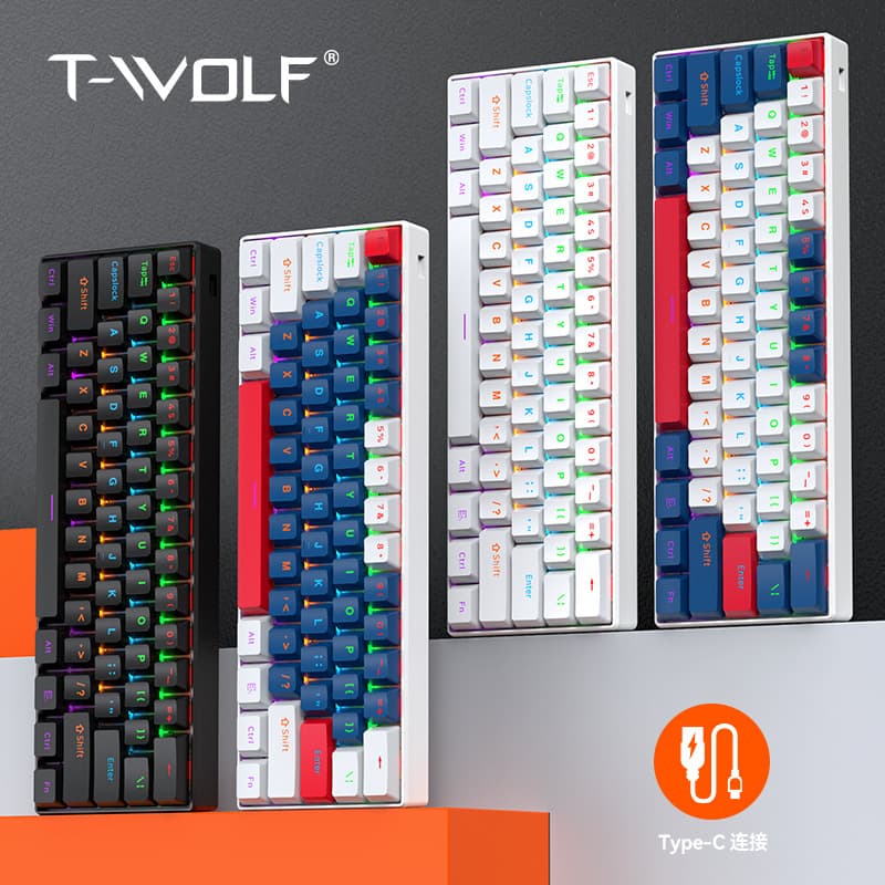 T-WOLF T60 Mechanical Keyboard with Blue Switches, 61 Keys, Detachable Cable, RGB Per-Key Backlighting for Gaming, Customizable