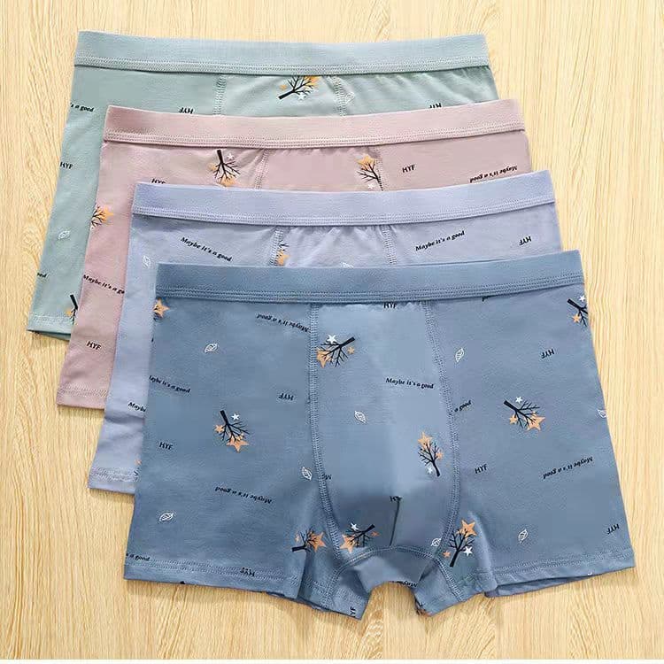 Men's boxer briefs RC pure cotton large size loose youth boxer briefs street stall shorts wholesale