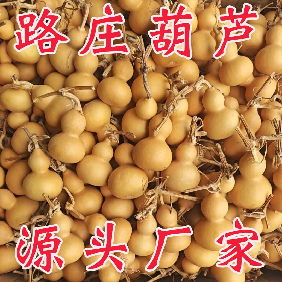 Small Gourd Wholesale, Liaocheng Natural Gourd, Wenwan Gourd, Hand-Twisted Gourd, Direct from Source Factory