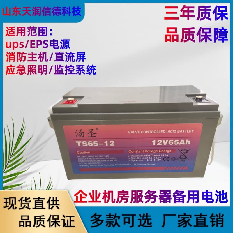 Battery 12V 65Ah Emergency Power Supply UPS Battery 12V UPS Power EPS Power DC Screen Backup