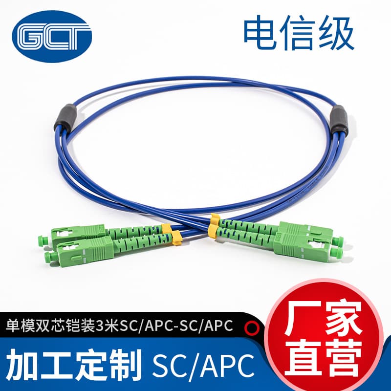 Guocheng Tong Telecom-Grade Fiber Optic Patch Cable Armored Single-Mode 2-Core 3m Factory Direct