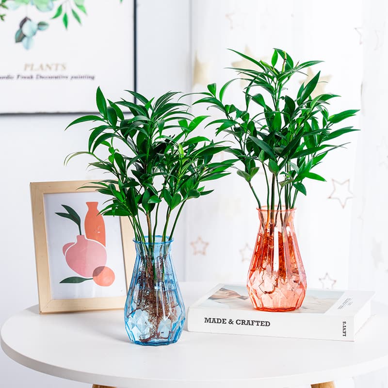Creative Flower Arrangement Hydroponic Vase Plastic Transparent Resin Water Culture Flower Pot Home Decorative Ornament for Pothos and Pennywort
