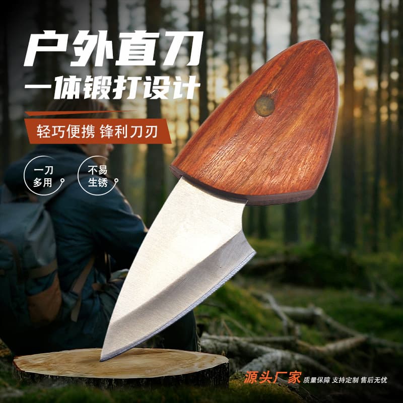 Portable and Practical Small Dolphin-Shaped Wooden Fish Fruit Kitchen Knife for Home Use, Multi-Purpose Sharp Kitchen Knife