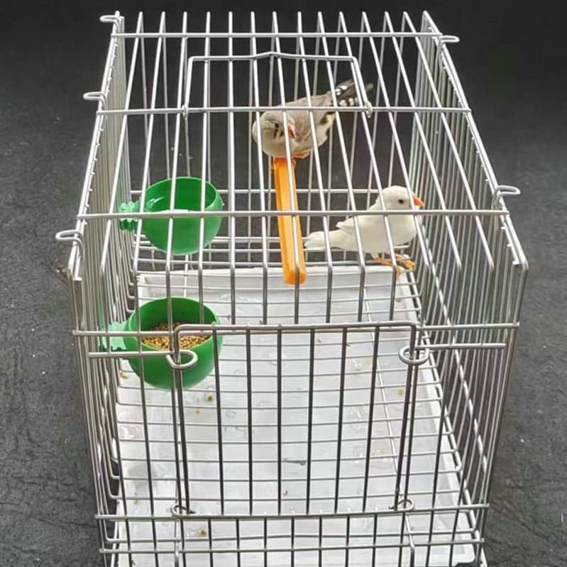 Small Birdcage Small Parrot Cage Metal Galvanized Cage Parrot Outdoor Cage Portable Travel Cage for Pearl Bird