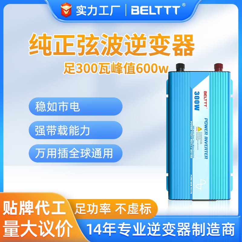Pure Sine Wave Inverter 12V to 220V 300W Off-Grid Car Inverter 600W Peak Home Inverter