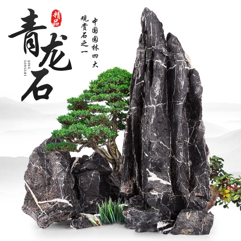 Dragon Stone for Bonsai Gardening Landscape Stone Fish Tank Natural Porous Rock
