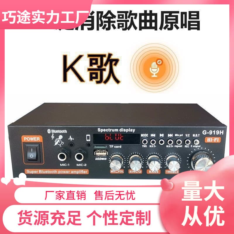 Audio Power Amplifier Bookshelf Speaker Amplifier Small Amplifier Home Use 220V 12V Car Power Supply Dual Use