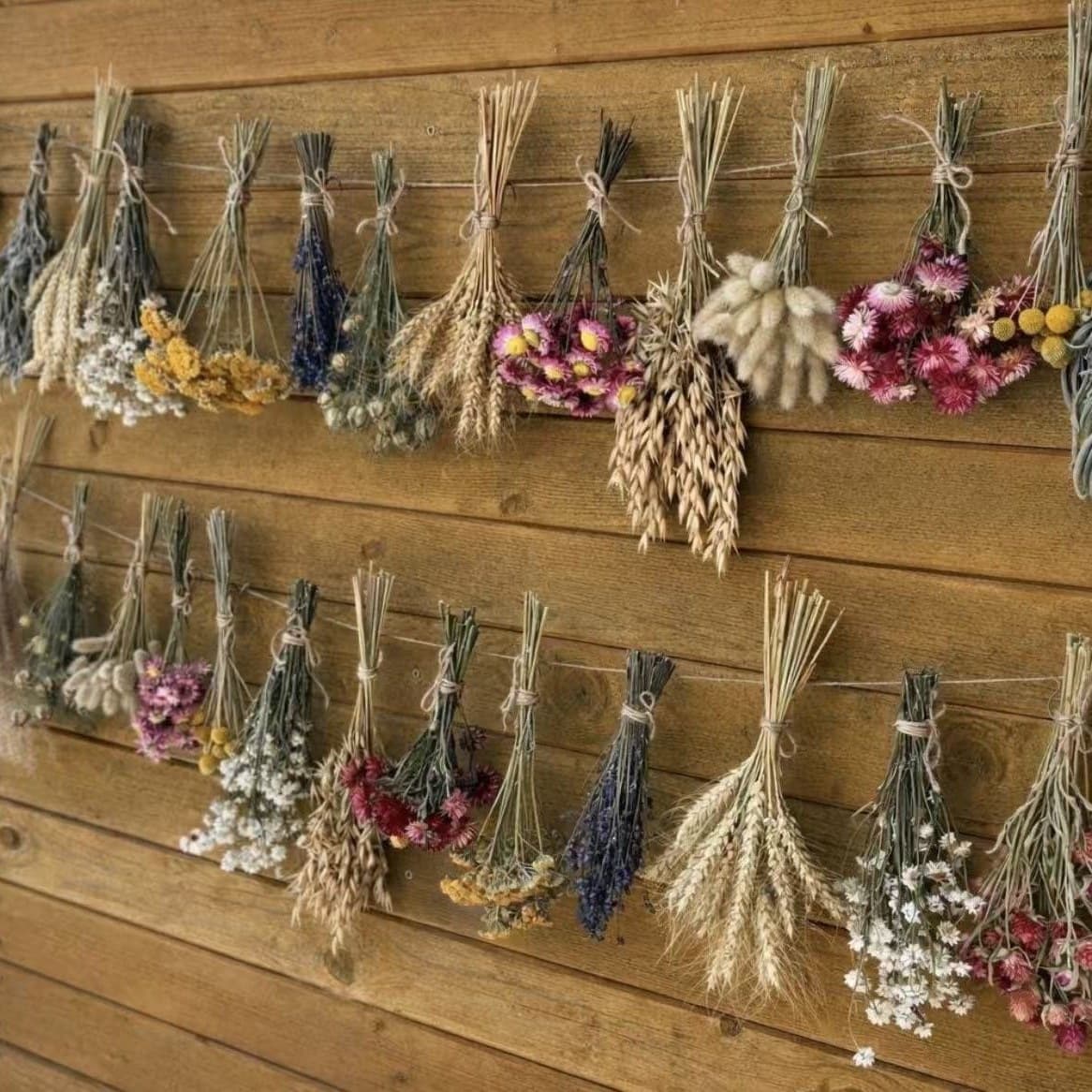 Dried Flower Kit Preserved Flowers DIY Handmade Yunnan Factory Wholesale Drop Shipping Ancient Style Amazon Best Seller