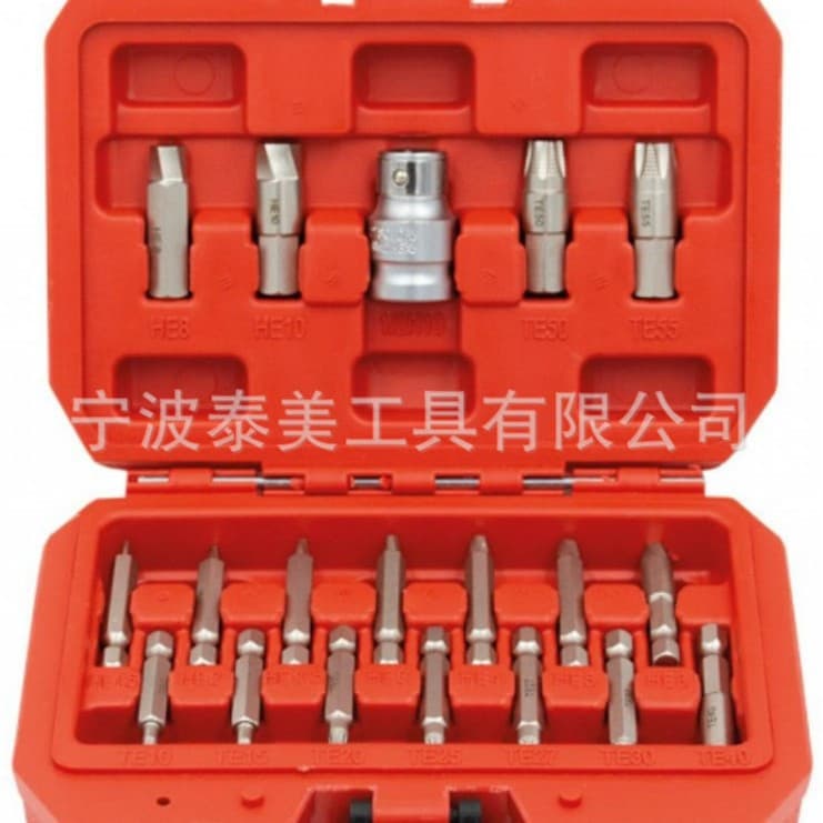 19-Piece Torx Hex Screw Extractor Set Auto Repair Tools Timing Tool Maintenance Tools