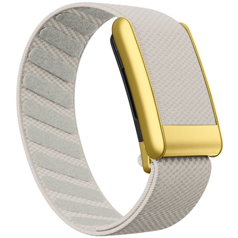 Cross-border bestseller, compatible with Whoop 5.0 PEAK/LIFE elastic nylon sports band MG with gold
