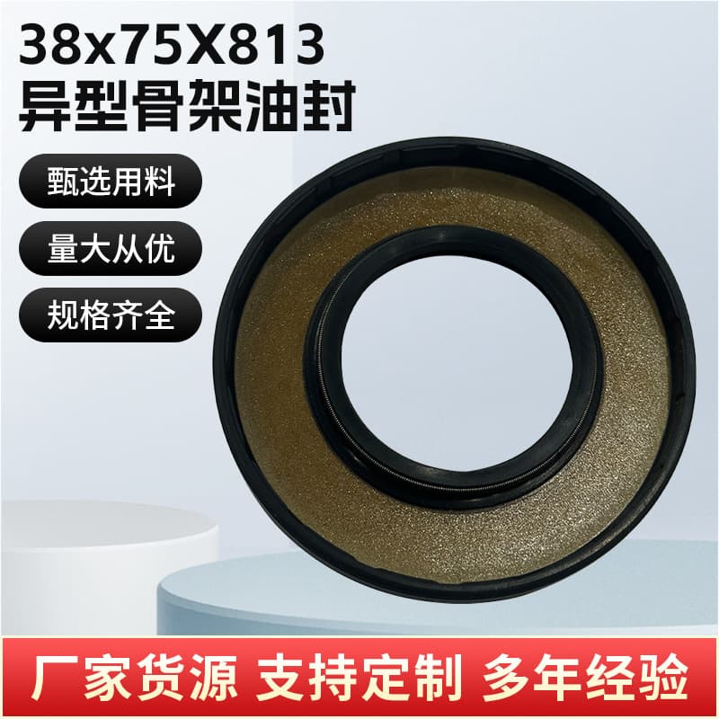 In Stock 38x75x8 Special-Shaped Skeleton Oil Seal for Engine Systems, High-Temperature Resistant, Wear-Resistant, High-Efficiency Manufacturer