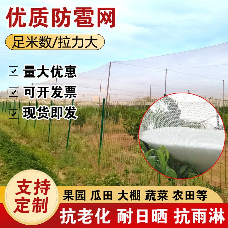 Hail Net Manufacturer HDPE Protective Nets for Gardens, Orchards, Cross-border Use, Polyethylene Agricultural Hail and Bird Nets