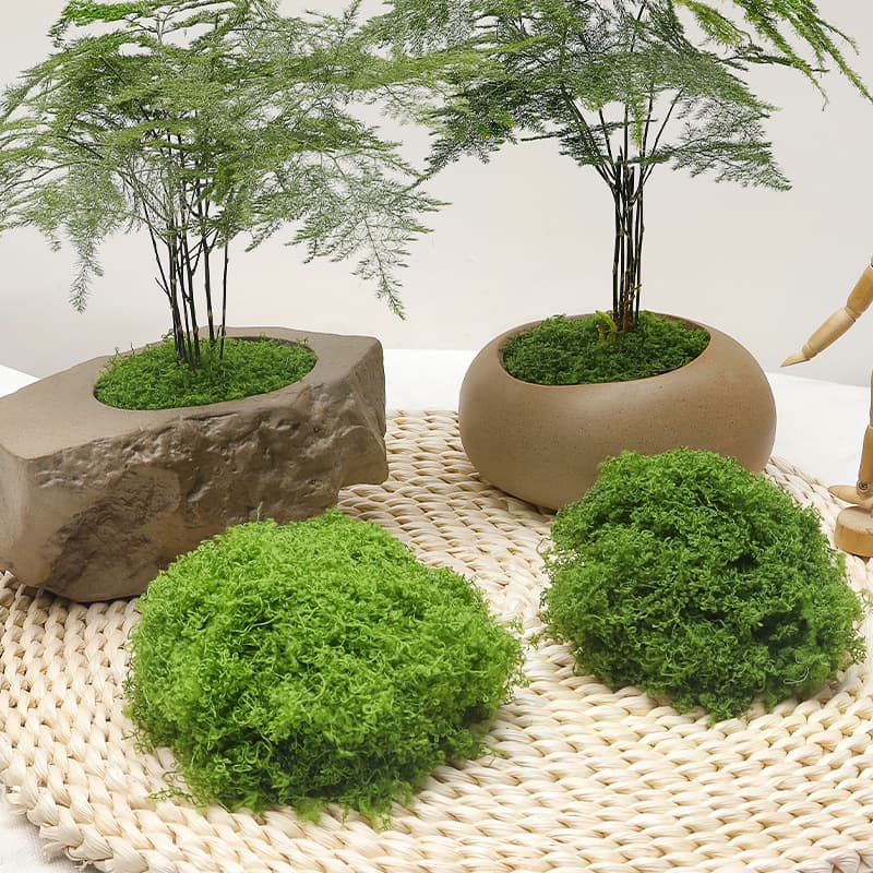Simulation Moss Landscape Bonsai Paving Grass Greenery Decoration Filamentous Artificial Moss DIY Artificial Moss Lawn