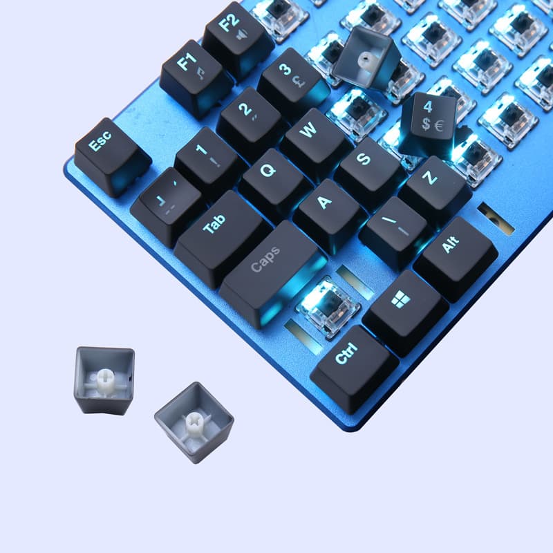 [Custom Designs Welcome] ABS/PBT Mechanical Keyboard Keycaps with Dye-Sublimation/Laser Engraving, Backlit Single Key Wholesale