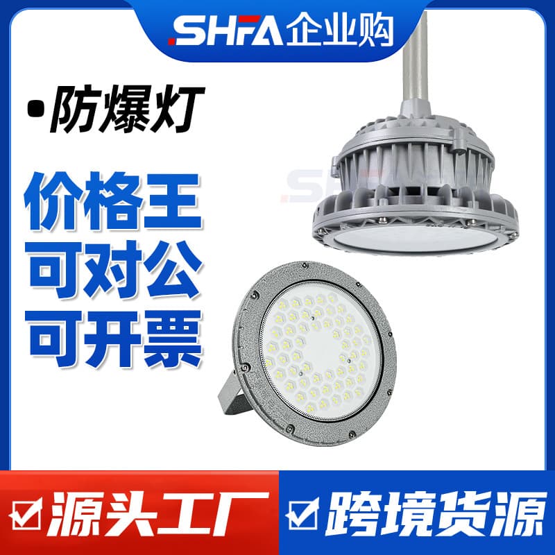Shenfang National Standard LED Explosion-Proof Light for Workshops, Warehouses, Factories, Gas Stations, Explosion-Proof Round Floodlight