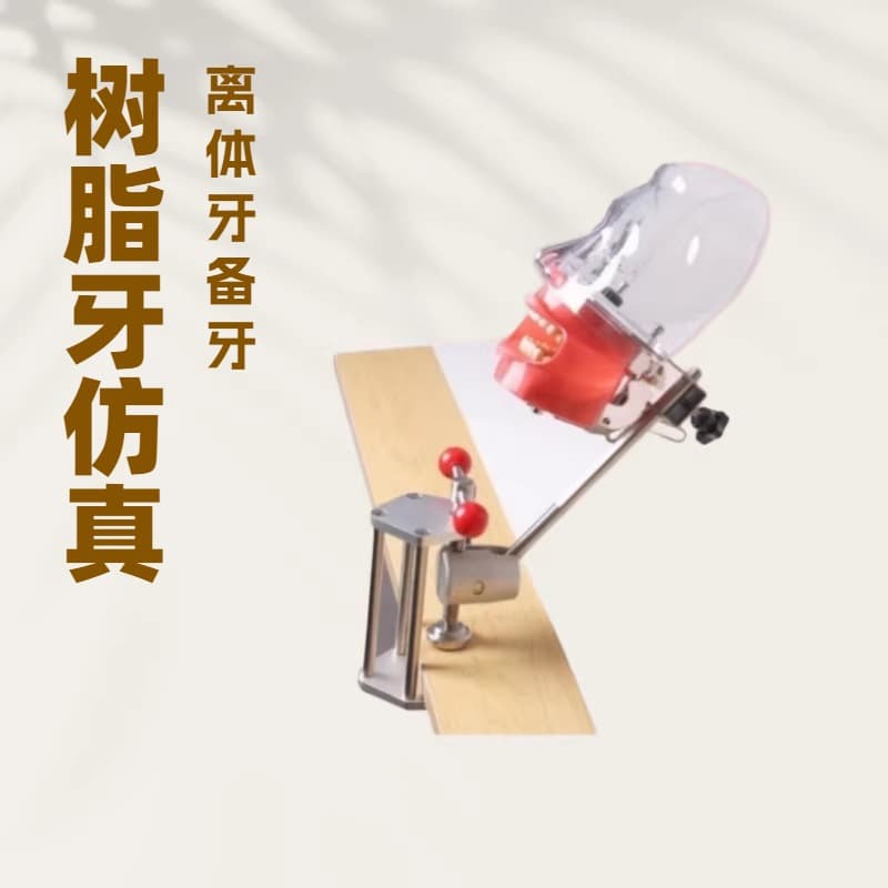 Dental Material Oral Tooth Preparation Model Instrument Tool Extracted Tooth Preparation Implant Resin Tooth Simple Simulation Head Model