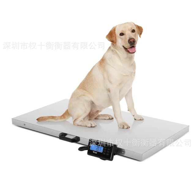 Manufacturer Produced According to Industrial Scale Standards, 500kg Electronic Livestock Animal Pet Scale, Electronic Postal Parcel Scale