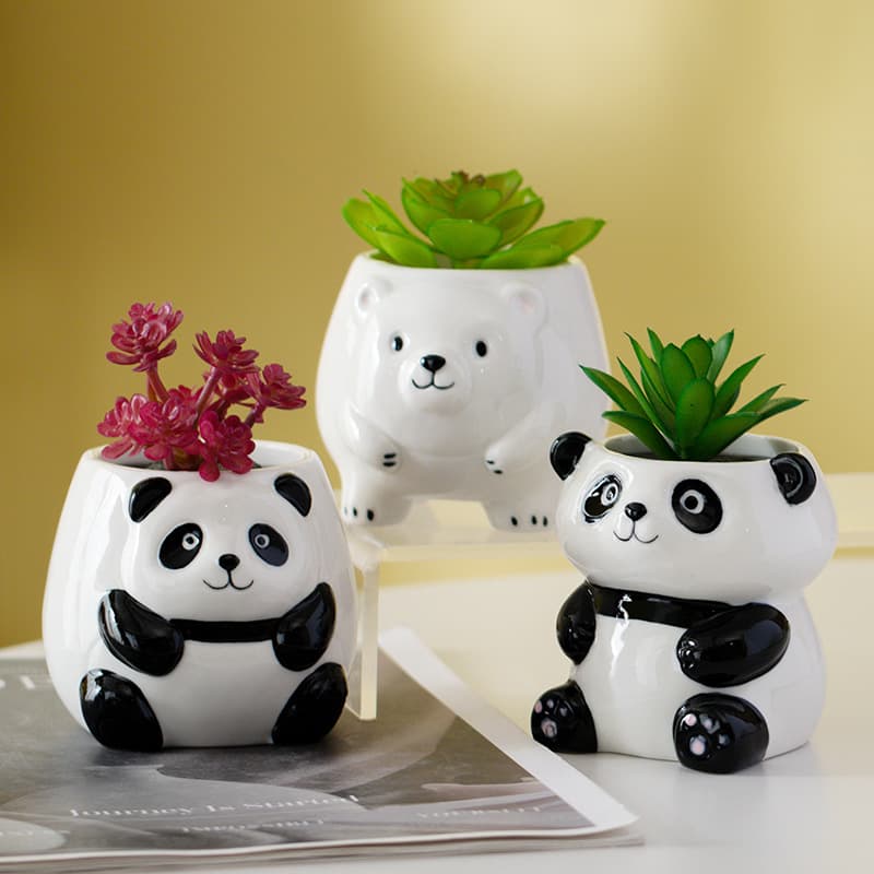 Creative Panda Animal Card Succulent Flower Pot Wholesale Factory Toothpaste Toothbrush Storage Rack