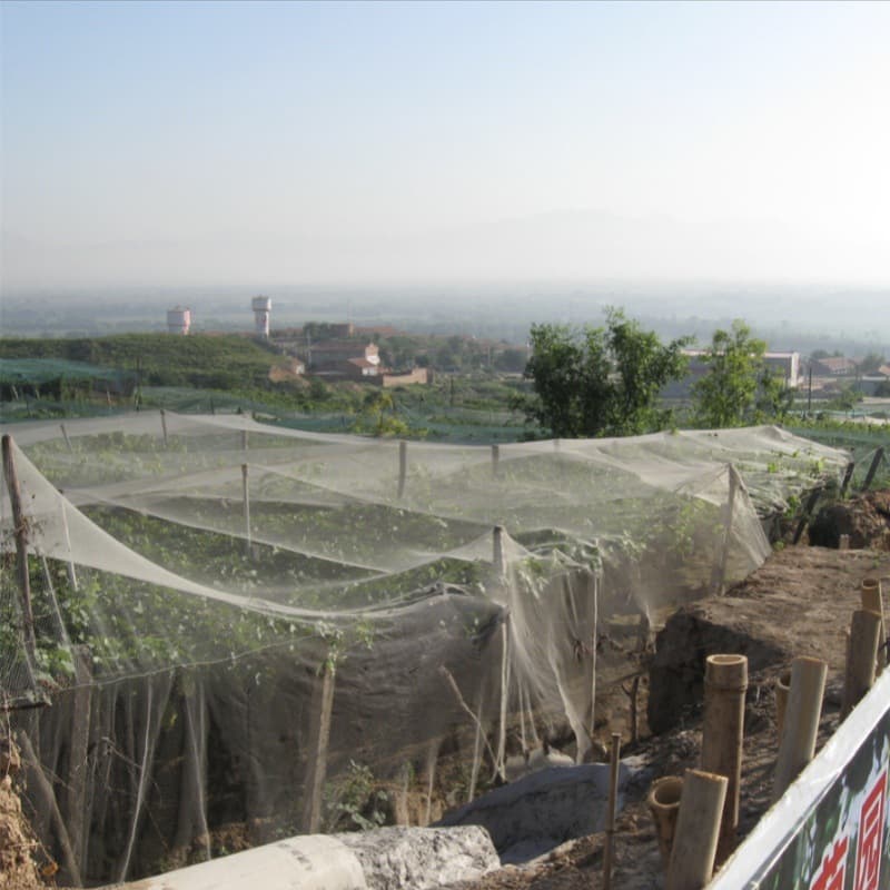 Yihaomei Brand Cross-border Supply Double-line Polyethylene Woven Square Mesh Hail Net Diamond Plastic Hail Net