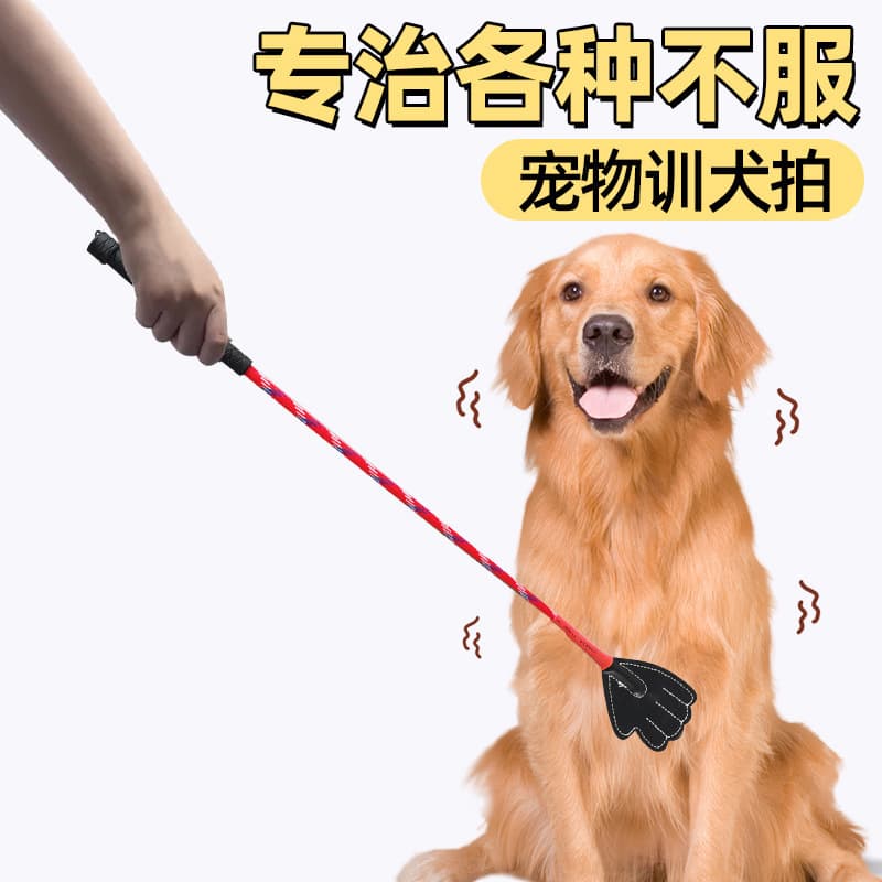 Long Dog Training Baton, Pet Training Stick, Love Tap Training Baton, Dog Training Stick, Pet Correction Stick