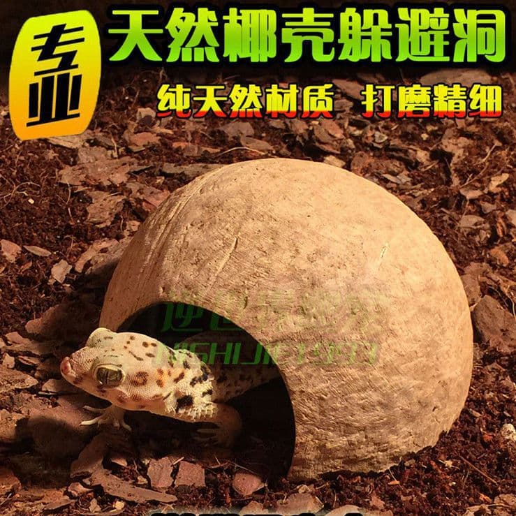 Natural Coconut Shell Hideout for Geckos, Lizards, Spiders, Snakes, Scorpions, Hamsters, Centipedes, Reptile Enclosures, Hermit Crab Cave