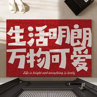 Coil carpet entrance non-slip dust-removing carpet, dirt-resistant easy-care carpet, living room entrance absorbent washable floor mat