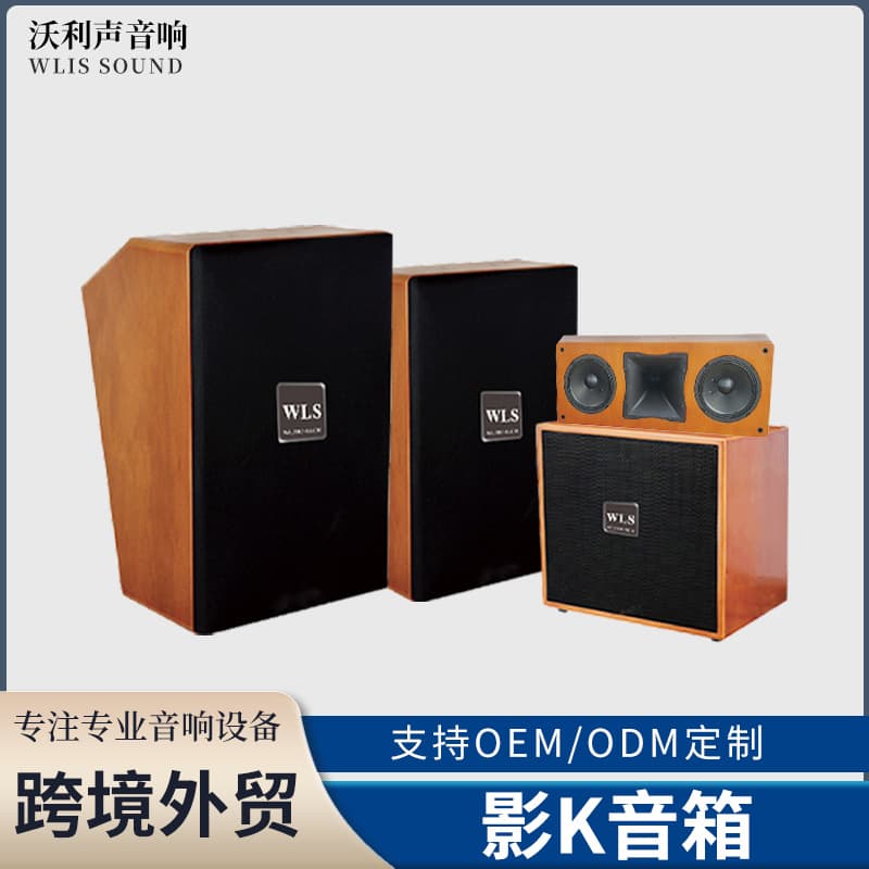 Home Theater Karaoke All-in-One High-Power Professional Audio System HIFI Speaker for Clubs and Multi-Function Halls