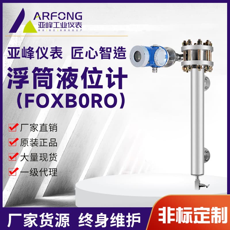 244LD Foxboro float level transmitters, smart float level gauge heads, manufacturer FOXBORO