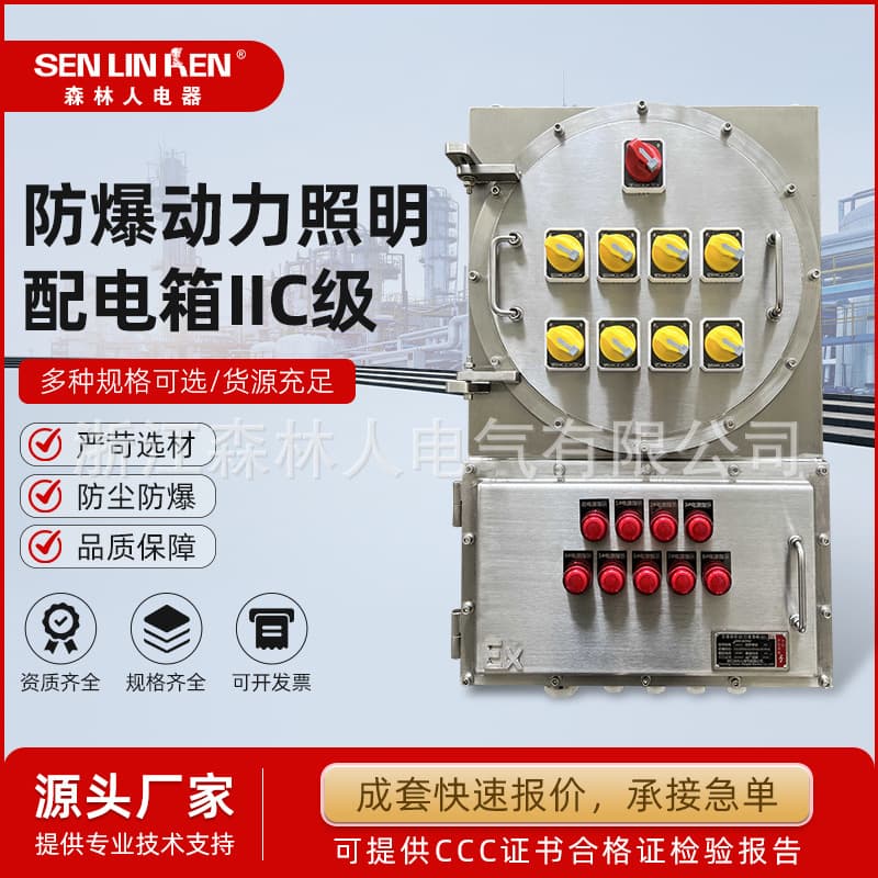 Explosion-Proof Power Lighting Distribution Box IIC Grade, Lighting Power Maintenance Power Socket Box, Stainless Steel Junction Box