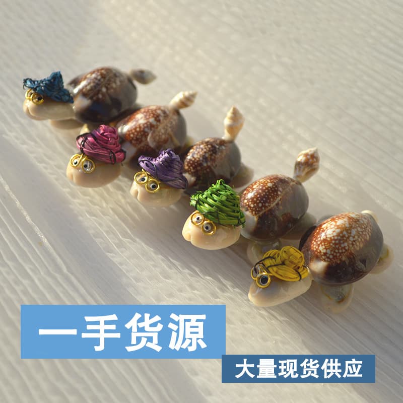 Little turtle shell doctor conch ornaments handicrafts seaside travel souvenir wholesale handmade sea shells ocean