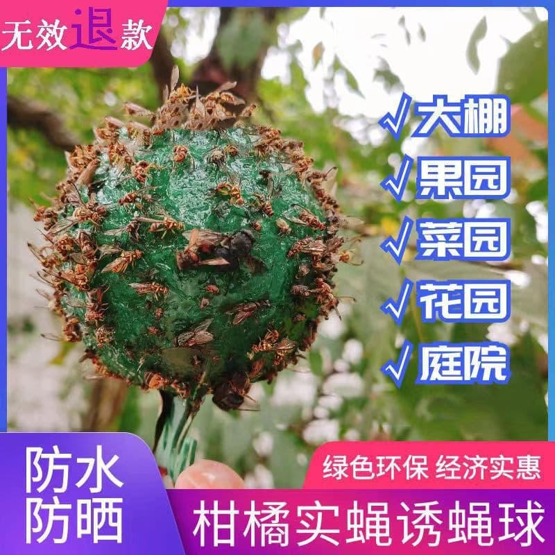 Insect Trap Lure Ball for Citrus, Melon, and Fruit Flies, Yellow and Green Sticky Trap for Needle Wasps and Melon Flies