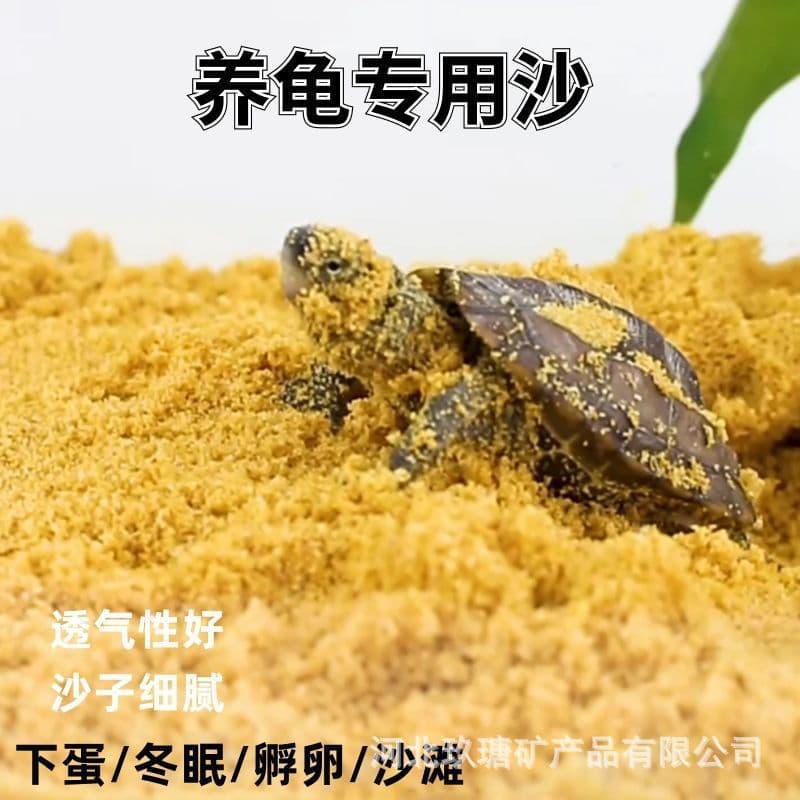 Turtle Sand for Hibernation, Egg-Laying, and Hatching - Special Sand for Turtles, Tortoises, and Brazilian Turtles - Bulk Wholesale