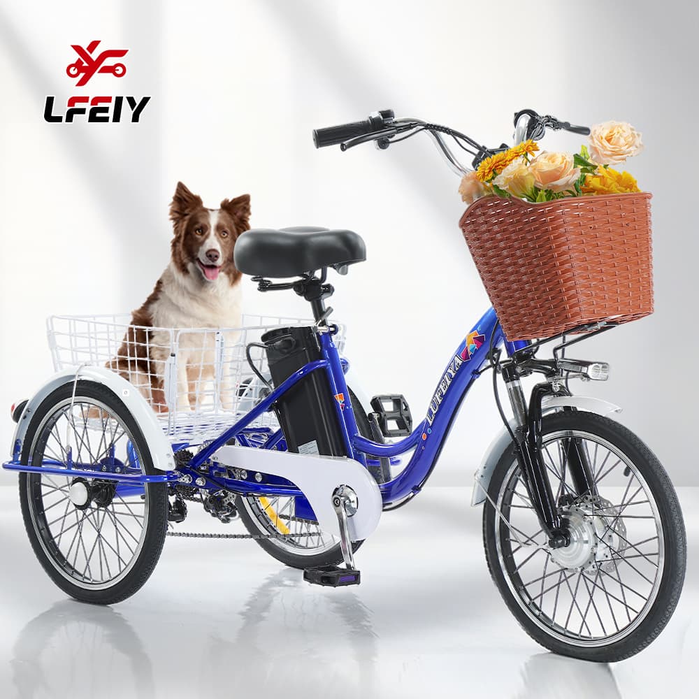 LUFEIY Fengshuo 20-inch 7-Speed Electric Tricycle, Adult Pedal-Assist Electric Tricycle