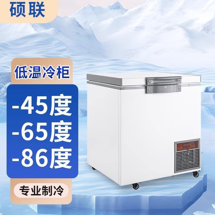 Shuolian Ultra-Low Temperature Freezer -50°C to -86°C Tuna Seafood Commercial Stainless Steel Flash Freezer