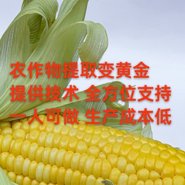 Corn extraction of plant protein peptides: The 'golden track' in crop deep processing