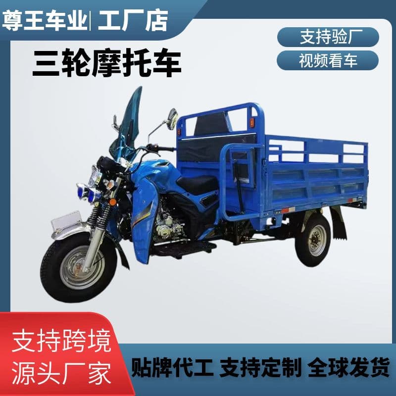 Custom Cross-Border African Three-Wheeled Cargo Transport Dump Truck Fuel Motorcycle Tricycle Export Manufacturer