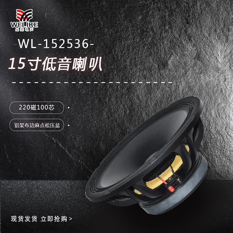 15 inch 220 magnetic 100 core outdoor performance stage bar high room entertainment woofer 15 inch speaker
