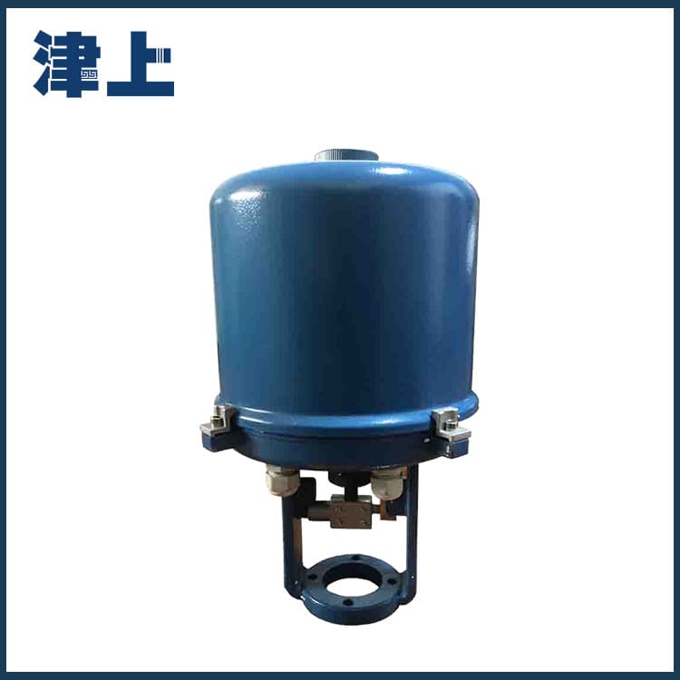 Bernard Single-Phase Linear Electric Actuator Linear Flow Characteristic 381LSB-30 381LSB-50