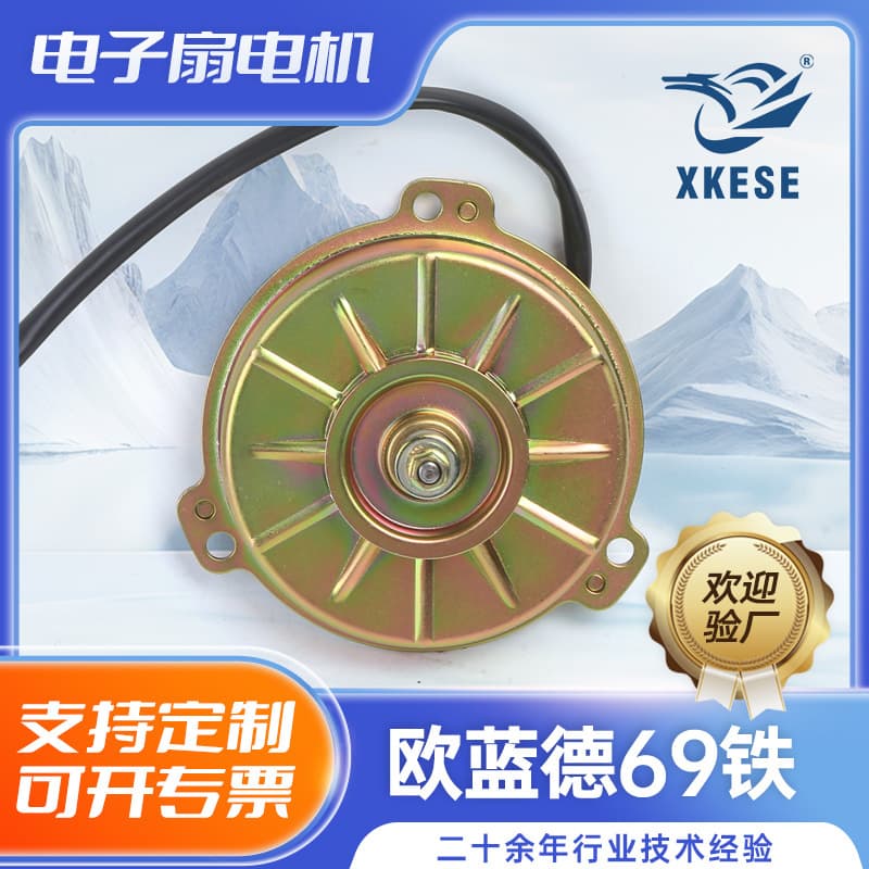 Cooling Fan 7812A100 Beijing Oulande 03-06 Model 4G Right Electronic Fan Motor Beach Buggy Radiator