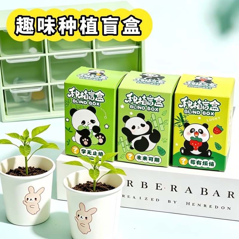 Cartoon Panda Planting Blind Box Potted Plant Desktop Soil Cultivation Plant Decoration Children Plant Growing Blind Box Wholesale
