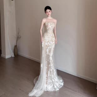 High-End Evening Dress Robe 2026 New Champagne Toast Dress Banquet Host Premium Slim Fit Dress