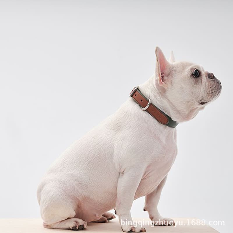 Creative pet color-blocked leather collar, adjustable multi-color spliced cat and dog neck collar, PU leather dog leash