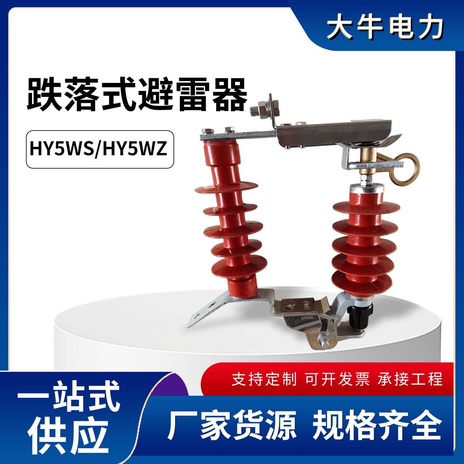 High-voltage zinc oxide arrester HY5WS-17/50DL-TB removable arrester 10KV drop-out type arrester