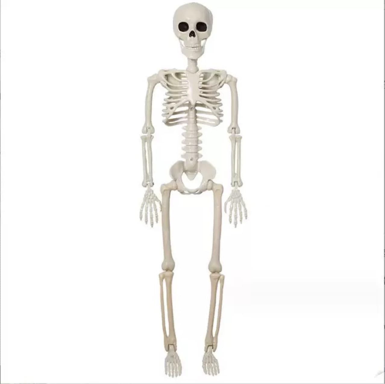 Halloween skeleton ghost house decoration movable skeleton 40cm holiday scene prop